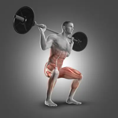 Catabolismo Muscular