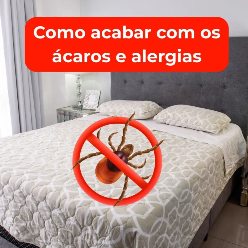 ácaros